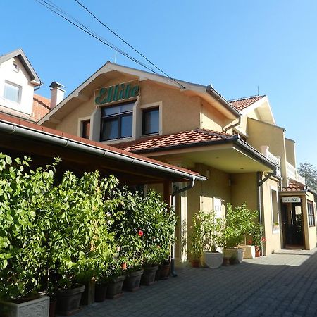 Požarevac Guesthouse Ellite מראה חיצוני תמונה